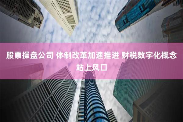 股票操盘公司 体制改革加速推进 财税数字化概念站上风口